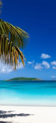 Flying Puerto Rico with Saint Barth Executive